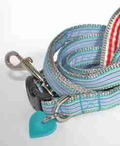 Scrufts' Minis Ice Pop Dog Collar and Lead