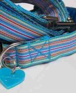 Scrufts' Ice Pop Striped Dog Collar and Lead