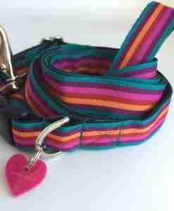 Scrufts Brighton Stripe Dog Collar and Lead