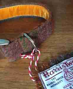 Scrufts Bruce Harris Tweed Velvet Lined Dog Collar