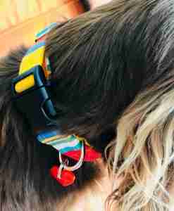 Scrufts’ Whitstable Striped Velvet Lined Dog Collar
