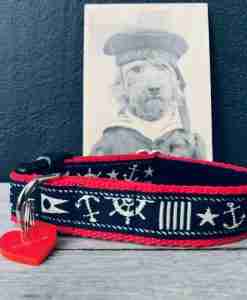 Scrufts Skipper Nautical Dog Collar with Velvet Lining