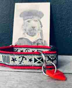 Scrufts Skipper Nautical Dog Collar with Velvet Lining