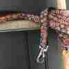 Scrufts Mila Dog Collar and Lead with Chocolate Velvet Lining