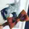 Harris Tweed Handmade Bow Tie Dog Collar in Ginger