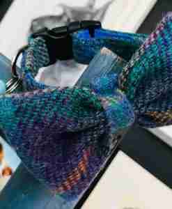 Harris Tweed Dog Bow Tie Collar in Beautiful Blue