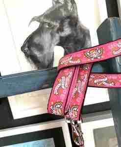 Scrufts' Captain Gracie Velvet Lined Dog Lead