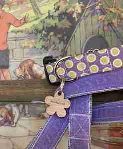 Scrufts' Lily Apple Violet and Lime Polka Dot Dog Collar and Violet Velvet Dog Lead