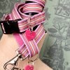 Scrufts' Mivvi Pink Multi Striped, Velvet Lined Dog Collar And Lead