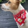 Scrufts Beach Bum Dog Bandana