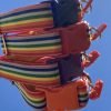 Scrufts Brighton Pride Dog Collar