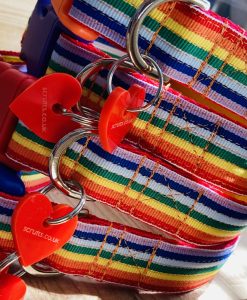 Scrufts Brighton Pride Dog Collar