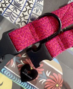 Scrufts’ Madge Fuscia Velvet Lined Harris Tweed Dog Collar