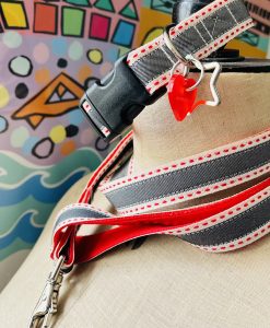 Scrufts Camber Striped Dog Collar and Lead with Velvet Lining