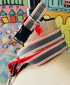 Scrufts Camber Striped Dog Collar and Lead with Velvet Lining