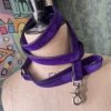 Lush Velvet Dog Leads