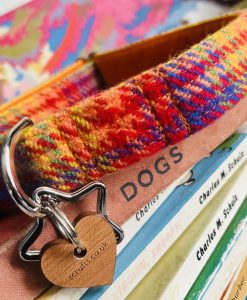 Scrufts Brighton Pride Harris Tweed Dog Collar