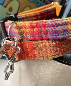 Scrufts Brighton Pride Harris Tweed Dog Collar